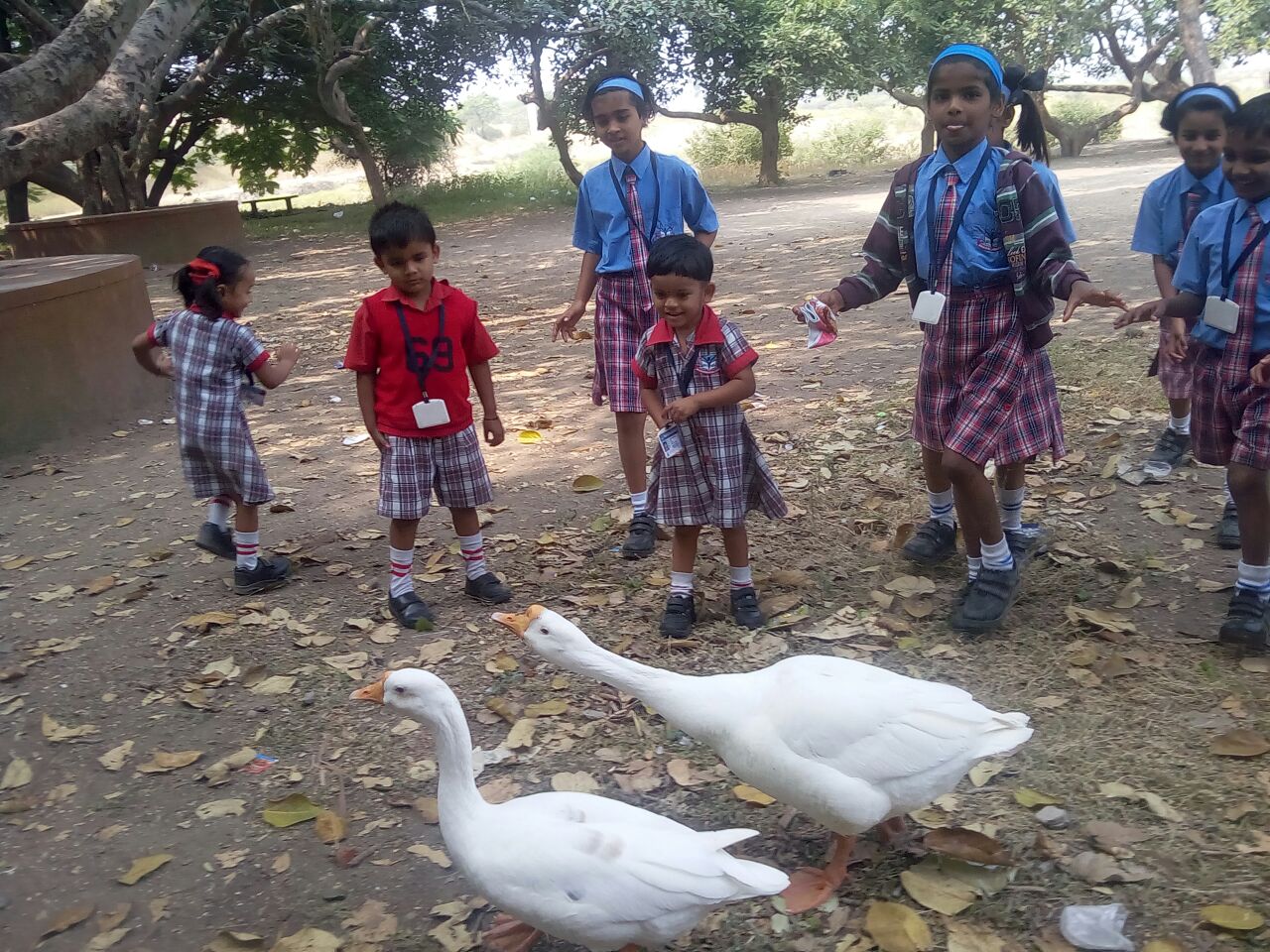 Modak International School | Best international School in Pune